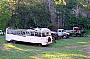 Old truck collection in Irvinebank