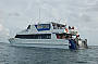 Supercat the Dolphin Wild Vessel