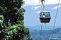 One Way Skyrail Rainforest Cableway Experience [from Skyrail's Kuranda Terminal]