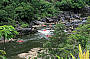 Barron River Half Day Rafting Group Rate Ex Cairns (4 or more persons)