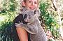 Cuddle a koala