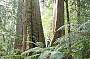 LAND OF THE GIANTS
