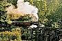 Penguin Deluxe with Farm Activities, Puffing Billy and Lunch (346)