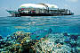 Knuckle Reef Lagoon