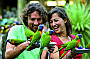 Feed our wild Lorikeets 8am & 4pm daily