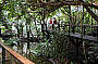 The Wildlife Habitat 