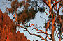 1 Day Windjana Gorge - Tunnel Creek
