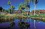 A5 - Palm Valley Safari by 4WD