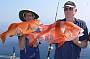 Coral Trout & Red Emperor