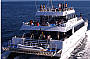 Fast and stable custom built catamaran