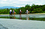 Exclusive 2.5 hr Beach & Rainforest Ride