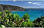 Noosa National Park