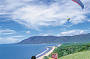 Rex Lookout