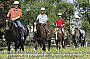 Half Day Horse Riding Tour (Afternoon Tour)