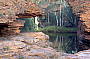 Sights during bush walk