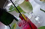 Aqua Latino Dinner Cruise