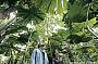 Cape Tribulation & Daintree Starter Pak Day Tour