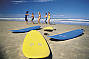 Surf Lessons