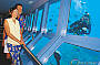 Discover from the Underwater Observatory
