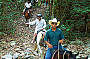 Kuranda Horse Ride