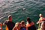 Rottnest Island Eco Sail Adventure