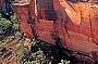 Kings Canyon Wall