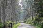 DANDENONG RANGES WITH YARRA VALLEY COMBINED