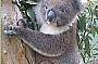wild life park