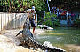 Hartley's Crocodile Adventures - SELF DRIVE ADMISSION