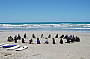 Surf Lessons