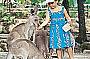 Half Day Cairns Tropical Zoo - Tour 4