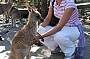 Meet the locals