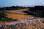 DANDENONG RANGES WITH YARRA VALLEY COMBINED