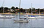 Beautiful Mornington Views