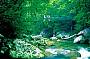 3 Day Cape Tribulation - Cooktown (Deluxe twin share accommodation)
