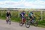 Hills, Vines & Wines by Mountain Bike