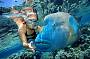 Reef Magic Cruises - Marine World Outer Barrier Reef Cruise