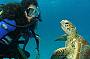 Private Cabin - Double Bed - 2 Day 1 Night Great Barrier Reef Dive and Snorkel Trip