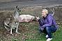 Spot Kangaroos