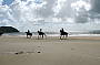 Cape Trib Horse Rides ( Afternoon )