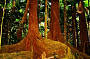 COMBINATION DAY PACKAGE & NIGHT TOUR