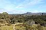 Looking towards Wild Dog Creek