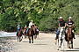 Cape Trib Horse Rides ( Afternoon )
