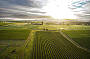 Yarra valley sunset