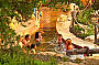 new pool
