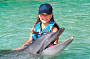 Sea World General Admission
