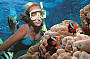 snorkelling with 'Nemo'