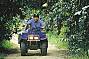 Quad bike through the rainforest