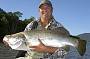 A great Barramundi