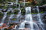 Blue Mountains 1 Day Tour with Featherdale Wildlife Park and River Cruise